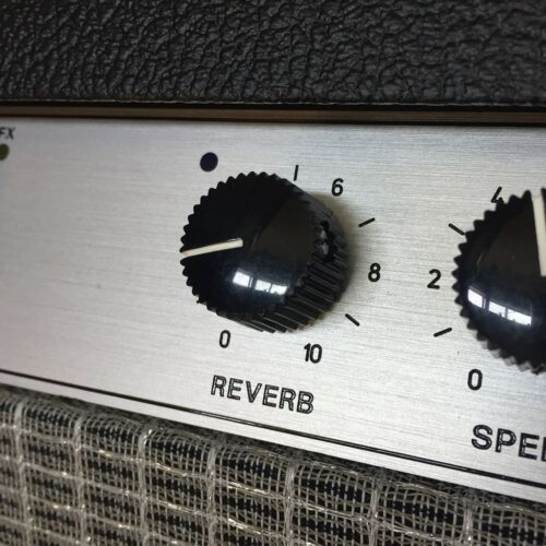 Captain Buddy Option Reverb