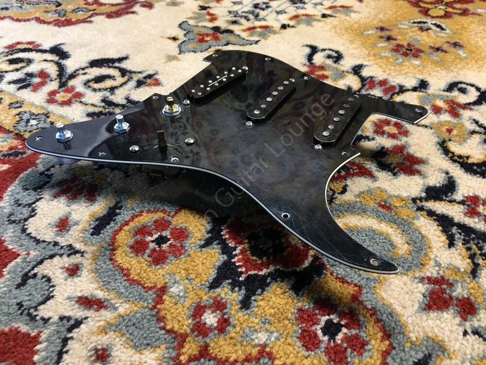 Loaded PG - Seymour Duncan - Barfuss - ID 3013 k.IMG_7370
