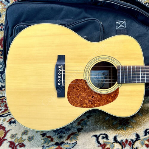 2000 Johnson - JO 16 - mit Fishman Ellipse Blend - ID 4920
