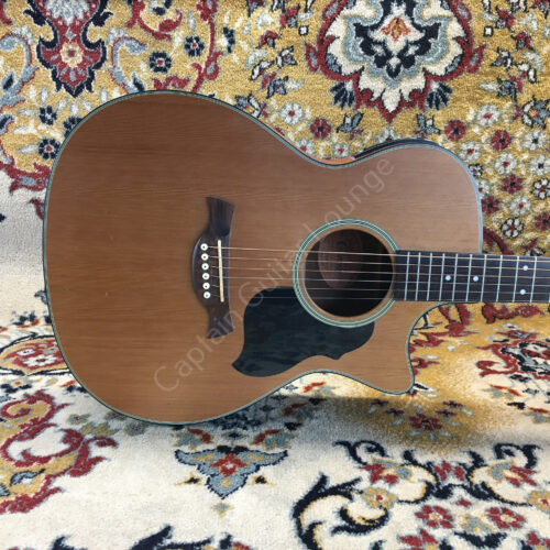Crafter-Light-TE-CD-Grand-Auditorium-ID-5164IMG_2490.jpg