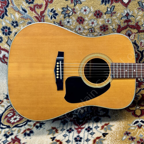 1979 Ibanez - V300 - ID 5440