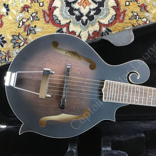 2022 Gold Tone - F 6 Mando Gitarre - ID 5550