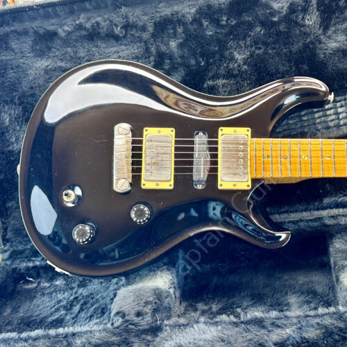 1997 PRS - Custom CE 22 - Swamp Ash Special - ID 5810