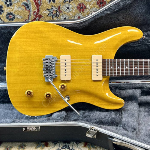 2009 Fretking - Green Label Elan 60SP - ID 6208